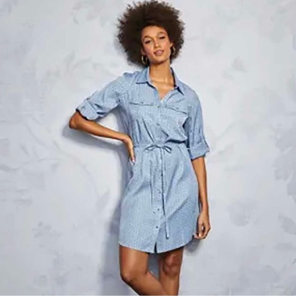 Studio 1886 Dress, blue polka dot shirt style, Medium